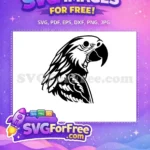 Free Detailed Macaw Free Exotic Parrot Design Free SVG - Instant Download
