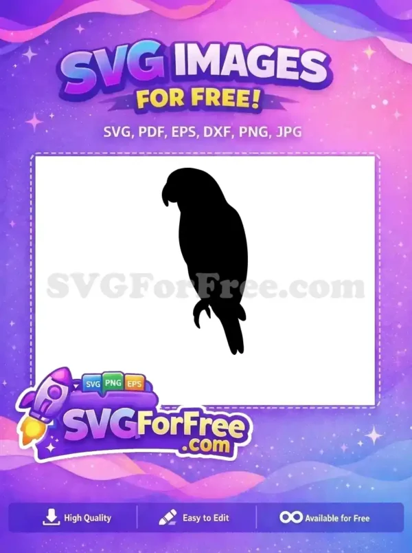 Free Detailed Parrot Free Silhouette Parrot Design Free SVG 3
