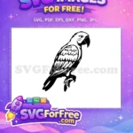 Free Detailed Feathering Free Exotic Parrot Silhouette Free SVG - Instant Download