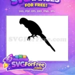 Free Perched Parrot Free Silhouette Tropical Bird Free SVG 1 - Instant Download