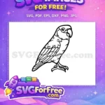 Free Detailed Parrot Free Silhouette Parrot Cute Free SVG - Instant Download