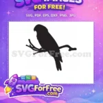 Free Perched Parrot Free Silhouette Detailed Bird Free SVG - Instant Download