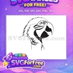 Free Detailed Macaw Free Parrot Silhouette Cutout Free SVG - Instant Download