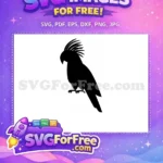 Free Detailed Parrot Free Tropical Bird Silhouette Free SVG 18 - Instant Download