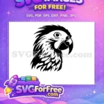 Free Detailed Parrot Free Tropical Bird Silhouette Free SVG 19 - Instant Download