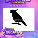 Free Detailed Parrot Free Silhouette Tropical Free SVG 4 - Instant Download