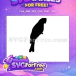 Free Detailed Parrot Free Silhouette Side Profile Free SVG - Instant Download