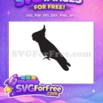 Free Cockatoo Crest Free Exotic Bird Parrot Free SVG - Instant Download