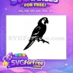 Free Exotic Parrot Free Line Art Silhouette Free SVG - Instant Download