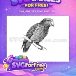 Free Detailed Parrot Free Silhouette Design Tropical Free SVG - Instant Download