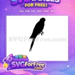 Free Detailed Parrot Silhouette Free Bird Design Free SVG - Instant Download