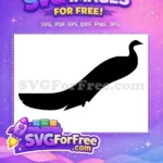 Free Elegant Neck Free Black Tail Peacock Free SVG - Instant Download
