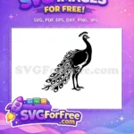 Free Detailed Feathers Free Black Silhouette Peacock Free SVG - Instant Download