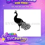Free Detailed Tail Feathers Free Peacock Silhouette Design Free SVG - Instant Download