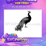 Free Detailed Plumage Free Elegant Silhouette Peacock Free SVG - Instant Download