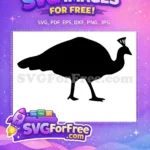 Free Detailed Crest Free Standing Pose Peacock Free SVG - Instant Download