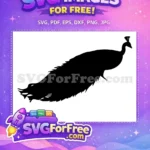 Free Detailed Tail Free Elegant Crest Peacock Free SVG - Instant Download