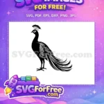Free Detailed Crest Free Feathered Tail Peacock Free SVG - Instant Download