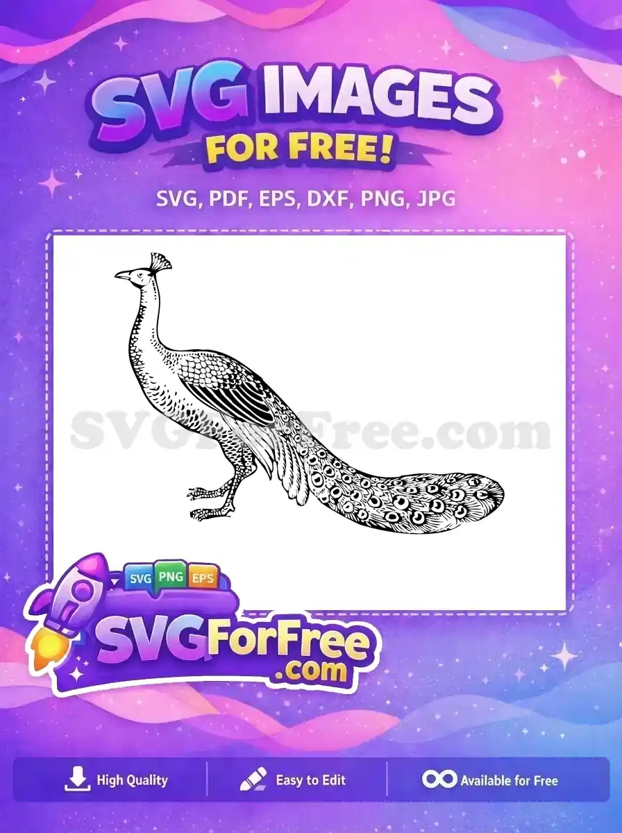 Free Detailed Plumage Free Exotic Bird Peacock Free SVG 2