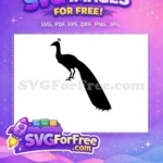 Free Stately Pose Free Black Silhouette Peacock Free SVG - Instant Download