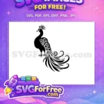 Free Angsty Peacock Free Silhouette Elegant Bird Free SVG - Instant Download