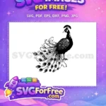 Free Detailed Tail Feathers Free Elegant Crest Peacock Free SVG 3 - Instant Download