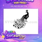 Free Detailed Tail Feathers Free Elegant Design Peacock Free SVG - Instant Download
