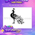 Free Intricate Feather Free Detailed Tail Peacock Free SVG - Instant Download