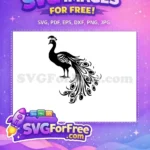 Free Detailed Feathers Free Elegant Design Peacock Free SVG 3 - Instant Download