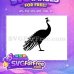 Free Elegant Crest Free Detailed Tail Peacock Silhouette Free SVG 4 - Instant Download