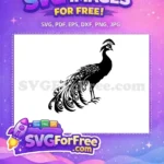 Free Detailed Plumage Free Exotic Bird Peacock Free SVG 3 - Instant Download