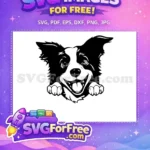 Free Smiling Border Collie Free Peeking Dog Silhouette Free SVG 1 - Instant Download