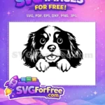 Free Peeking Cavalier King Charles Free Smiling Face Dog Free SVG - Instant Download