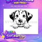 Free Spotted Puppy Free Peeking Dalmatian 101 Free SVG - Instant Download