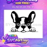 Free Cute Puppy Dog Free Detailed Eyes Peeking Free SVG - Instant Download