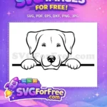 Free Labrador Retriever Puppy Free Peeking Dog Simple Free SVG - Instant Download