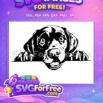 Free Black Labrador Free Peeking Paws Dog Free SVG - Instant Download