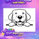 Free Cute Labrador Free Peeking Dog Character Free SVG - Instant Download