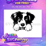 Free Peeking Puppy Free Border Collie Dog Peek Free SVG - Instant Download