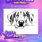 Free Sad Eyes Peeking Dog Free Black White Labrador Free SVG - Instant Download