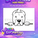 Free Peeking Pitbull Dog Free Clipart Line Art Pitbull Peeking Dog Free SVG - Instant Download