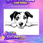 Free Peeking Border Collie Free Big Puppy Eyes Peeking Dog Free SVG - Instant Download