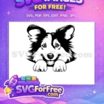 Free Smiling Border Collie Free Happy Pet Peeking Free SVG - Instant Download