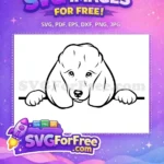 Free Cute Poodle Free Peeking Dog Design Free SVG - Instant Download