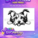 Free Scruffy Terrier Dog Free Big Expressive Eyes Peeking Dog Free SVG - Instant Download