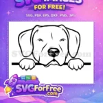 Free Peeking Pitbull Dog Free Black White Line Art Free SVG - Instant Download