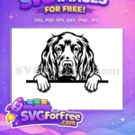 Free Cute Puppy Face Free Dog Peeking Window Free SVG - Instant Download