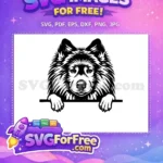 Free Cute Puppy Peek Free Curious Eyes Dog Peek Free SVG - Instant Download