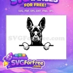 Free Cute Dog Breed Free Funny Pet Animal Free SVG - Instant Download