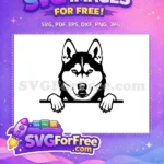 Free Cute Puppy Face Free Dog Peek Animal Free SVG 1 - Instant Download
